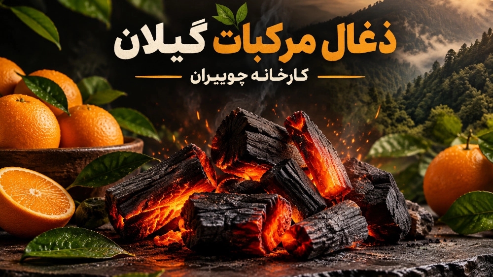 راهنمای خرید عمده ذغال مرکبات گیلان برای کبابی ها