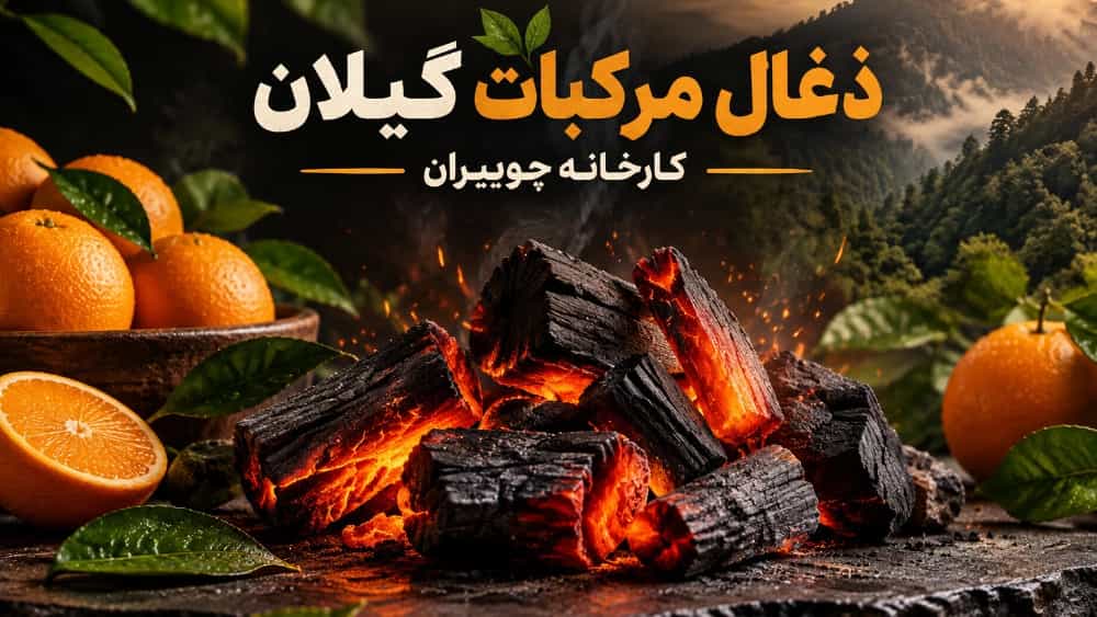 راهنمای خرید عمده ذغال مرکبات گیلان برای کبابی ها